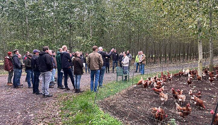 Reger Austausch im Hühnerwald