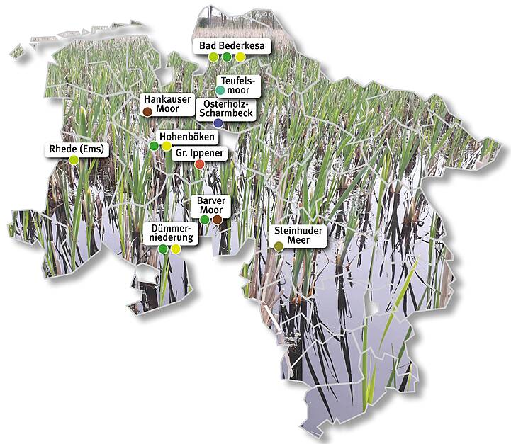Übersicht der Paludikultur-Pilotflächen in Niedersachsen