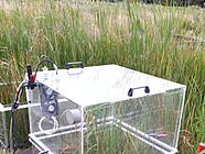 Treibhausgas Messungen in Hohenböken
