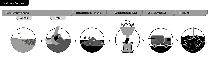 Wertschöpfungkette von Torfmoos für Substrate